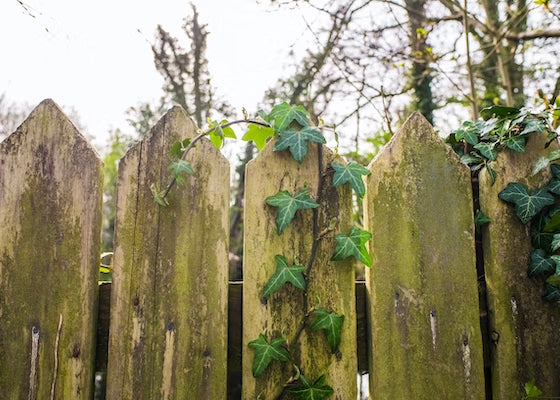 Great Fences - The Fence You Love Won’t Fade Away!